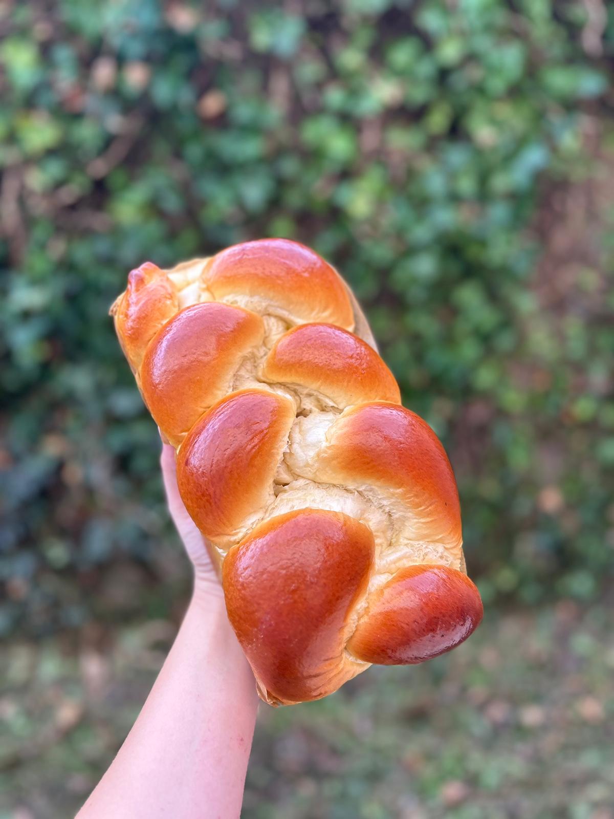 5f6bd87e-f847-41d9-b0f6-339c3727b107